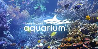 Long Island Aquarium