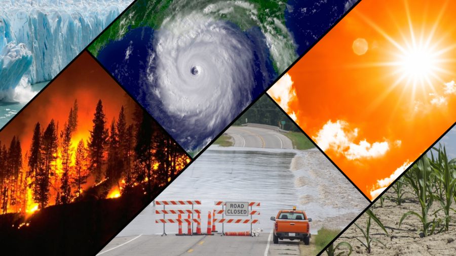 Climate Change- What We Can Do to Prevent It?