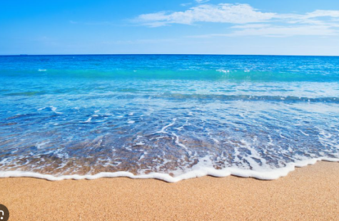 Top 3 Beaches on LI!