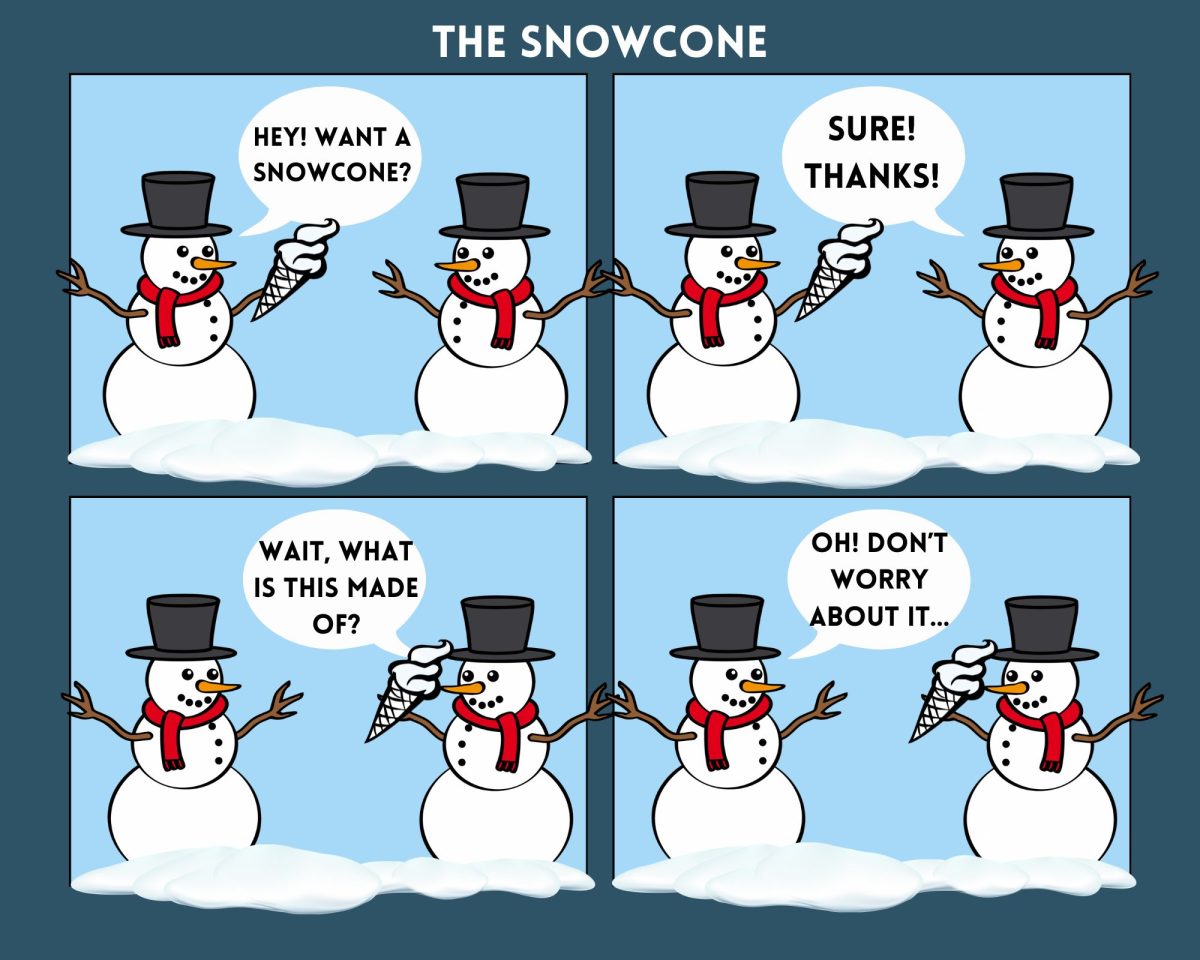 The Snowcone