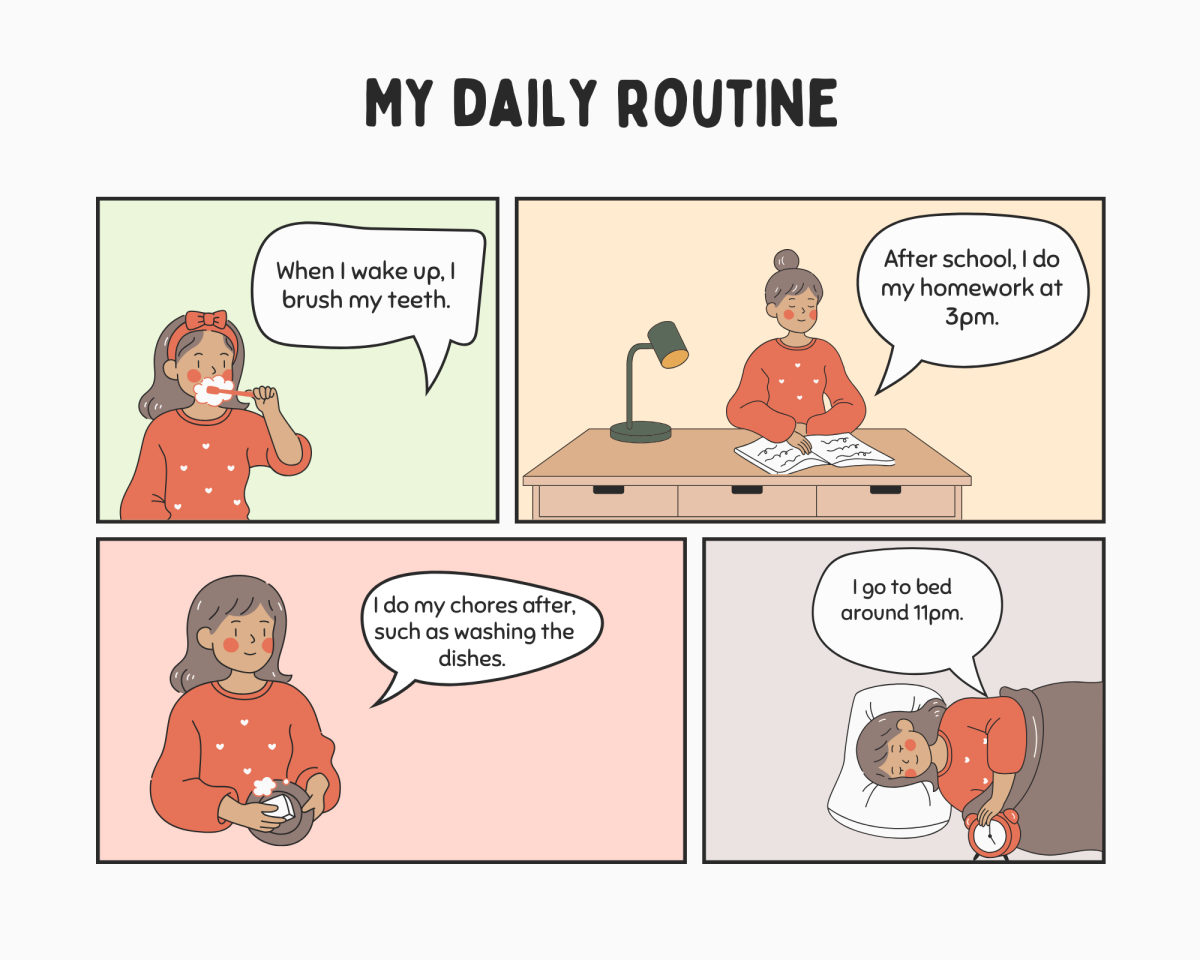 My Daily Routine