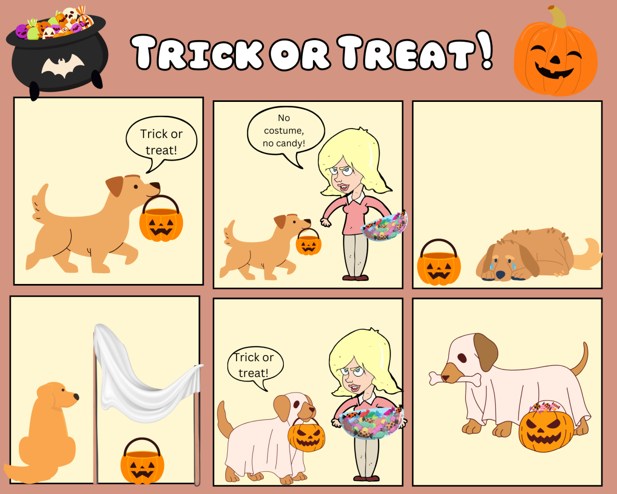 Trick or Treat!