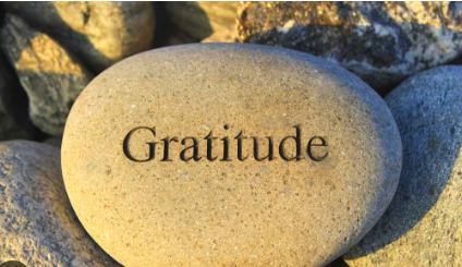 Gratitude's Impact on Your Mindset