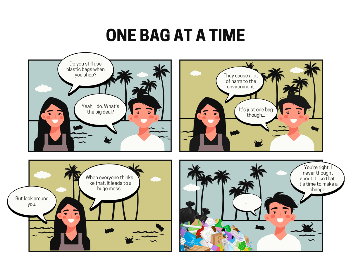 One Bag at a Time