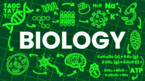 Hauppauge's Opinion of Biology