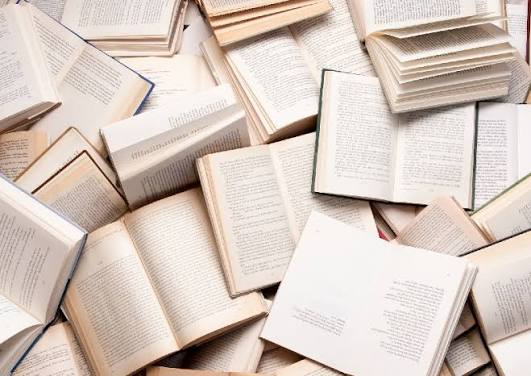I Read 49 Books in 2025, What's Worth Your Time?